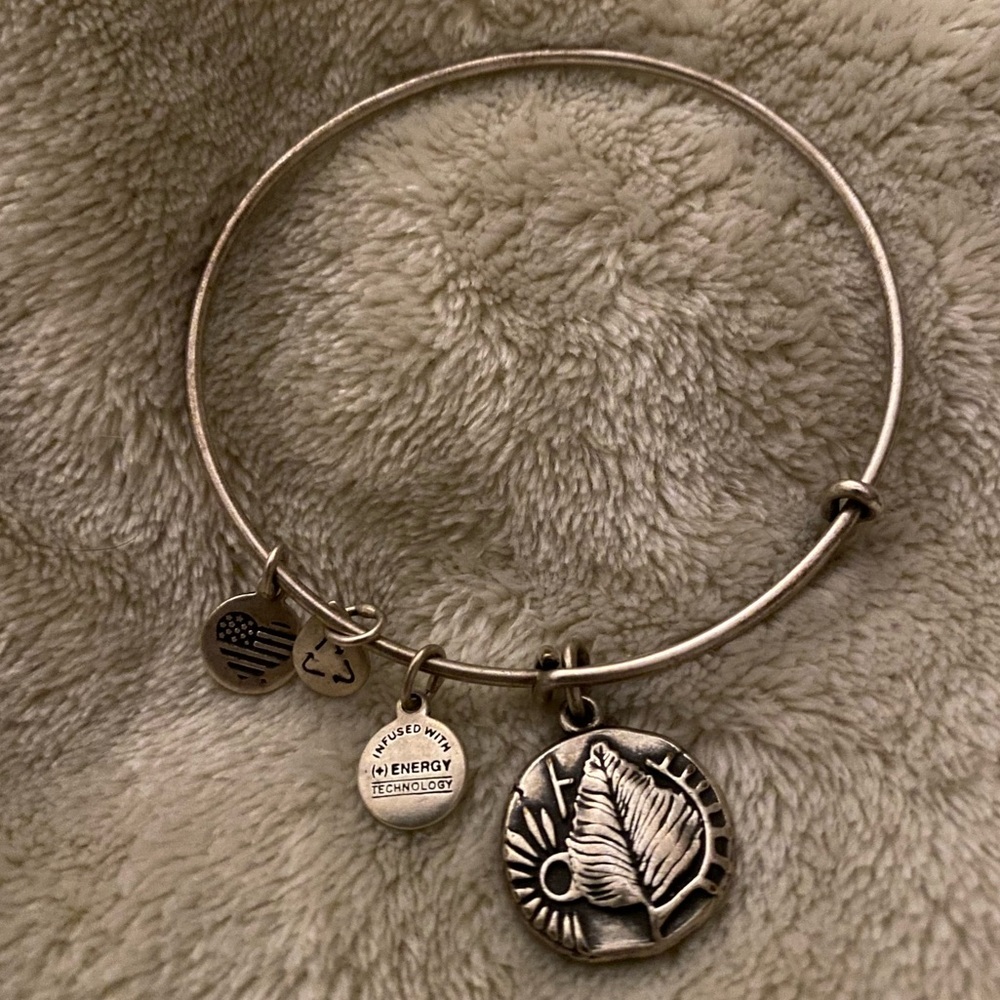 Alex And Ani Vintage Birch Charm Bracelet Renewal, Creativity, Beginnng